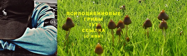ПСИЛОЦИБИНОВЫЕ ГРИБЫ Балахна